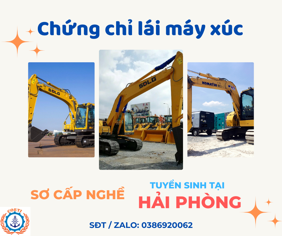 lĩnh vực hoạt động